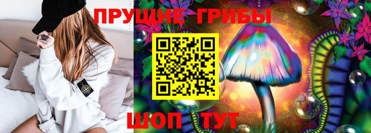 Псилоцибиновые грибы Psilocybine cubensis Дивногорск