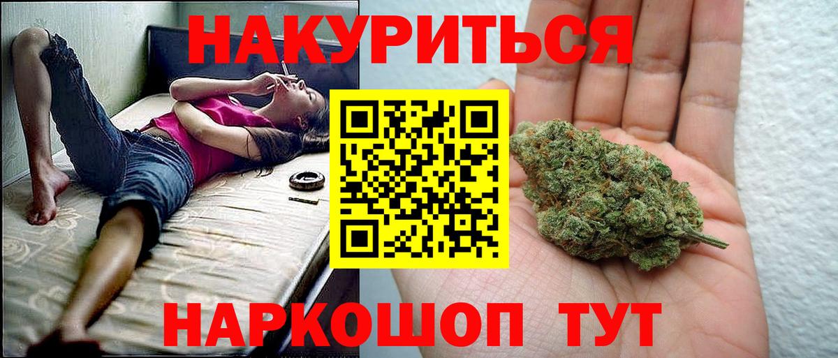 Конопля сатива Дивногорск